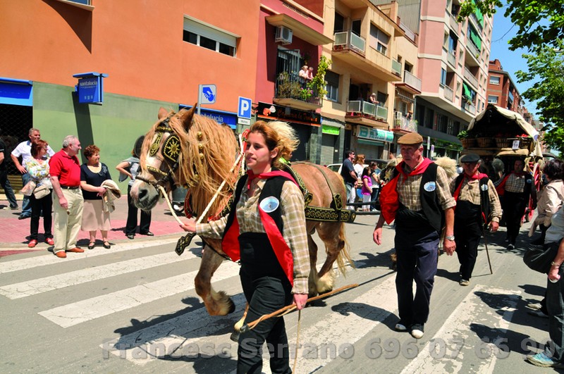 Cavalcada de Sant Isidre en el prat de llobregat