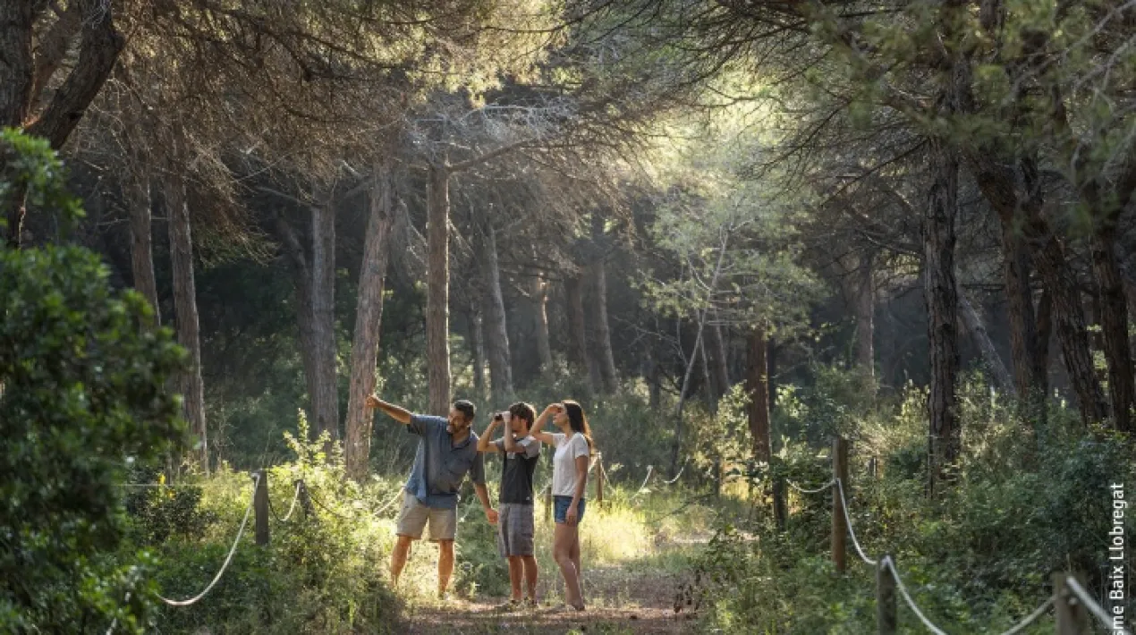 La pineda de Can Camins és una de les poques zones de Catalunya que reprodueix, amb un estat de conservació excepcionalment bo, el conjunt de comunitats vegetals propi de la rereduna mediterrània. Destaca per la varietat d'orquídies i fongs que hi viuen. Entre la fauna trobem ocells boscans, com la mallerenga carbonera o el raspinell, o rèptils com el sargantaner petit. És un hàbitat de bosc pulvinular, molt delicat, i per això no es permet l'accés lliure Si vols conèixer aquest espai natural del litoral pratenc, participa en una de les visites guiades gratuïtes que es fan el primer diumenge de cada mes.   Punt de trobada: Oficina de Turisme. Can Camins. La Porta del Delta. Camí de la platja, davant de la pineda de Can Camins. Coordenades GPS 41.288442, 2.103564 Aparcament: aparcaments de la platja. ACTIVITAT GRATUÏTA / No cal inscripció prèvia, la inscripció es realitza el mateix dia de la visita en el punt de trobada i per ordre d'arribada. Nombre màxim de participants 25 persones/visita.Veure més