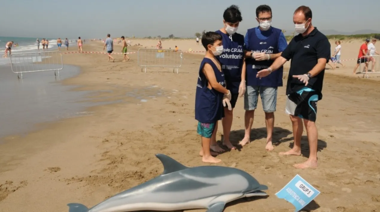 El dofí Ulisses és un dofí que viu al mar Mediterrani. Està malalt i ha perdut el seu grup… ens necessita! Gràcies a l’ajuda de tota la família intentarem tornar l'Ulisses al mar, aprendrem com són els dofins, quins problemes tenen i què podem fer nosaltres per fer que el mar estigui millor! A més a més, anirem a veure els animals que s’estan recuperant a les instal·lacions del CRAM. Veniu a ajudar l’Ulisses? Activitat recomanada per a nens i nenes de 3 a 5 anys.Veure més