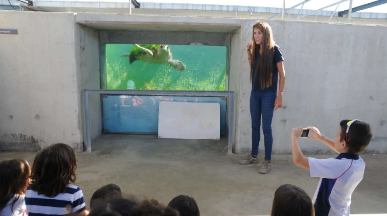 El CRAM (Centre de Recuperaci&oacute; d&rsquo;Animals Marins) apropa la seva tasca de conservaci&oacute; i sensibilitzaci&oacute; del medi mar&iacute;, a trav&eacute;s de les visites guiades que organitza els caps de setmana. L&rsquo;activitat principal de la Fundaci&oacute; CRAM &eacute;s el rescat d&rsquo;esp&egrave;cies marines en perill d&rsquo;extinci&oacute;, la seva recuperaci&oacute; i la seva reintroducci&oacute; al seu h&agrave;bitat. Acompanyats d&rsquo;un educador, els participants podran visitar les instal&middot;lacions, les exposicions que hi ha al centre i con&egrave;ixer els pacients que hi reben tractament.&nbsp;Veure m&eacute;s