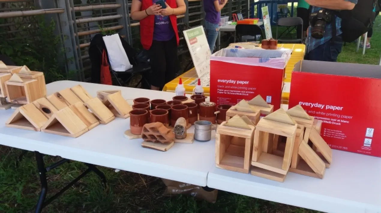 Els invertebrats són el grup d'organismes més abundants en el món. Viuen en tots els ecosistemes i constitueixen la part majoritària de la nostra biodiversitat. La riquesa d'espècies i l'abundància d'individus són símptomes del bon estat de conservació del parc. Vols saber-ne més? Investigarem quins hi ha i farem un hotel d'insectes per afavorir la seva presència. Es contemplaran totes les mesures preventives necessàries per al desenvolupament d'aquesta activitat donada la situació de pandèmia sanitària de la COVID19. La capacitat de l'aforament de l'activitat s'establirà segons les restriccions vigents en el moment de fer l'activitat.  La Jugatecambiental ofereix un munt de propostes per gaudir en família per aprendre moltes coses sobre els parcs metropolitans, la natura i el medi ambient, mentre juguem i fem activitats. Hi trobarem un punt d'informació del parc i el seu entorn i un espai de joc lliure. Activitats tots els  diumenges del 19 de setembre al 28 de novembre de 2021 al parc Nou i al parc del Riu. ACTIVITAT GRATUÏTA.      Veure més