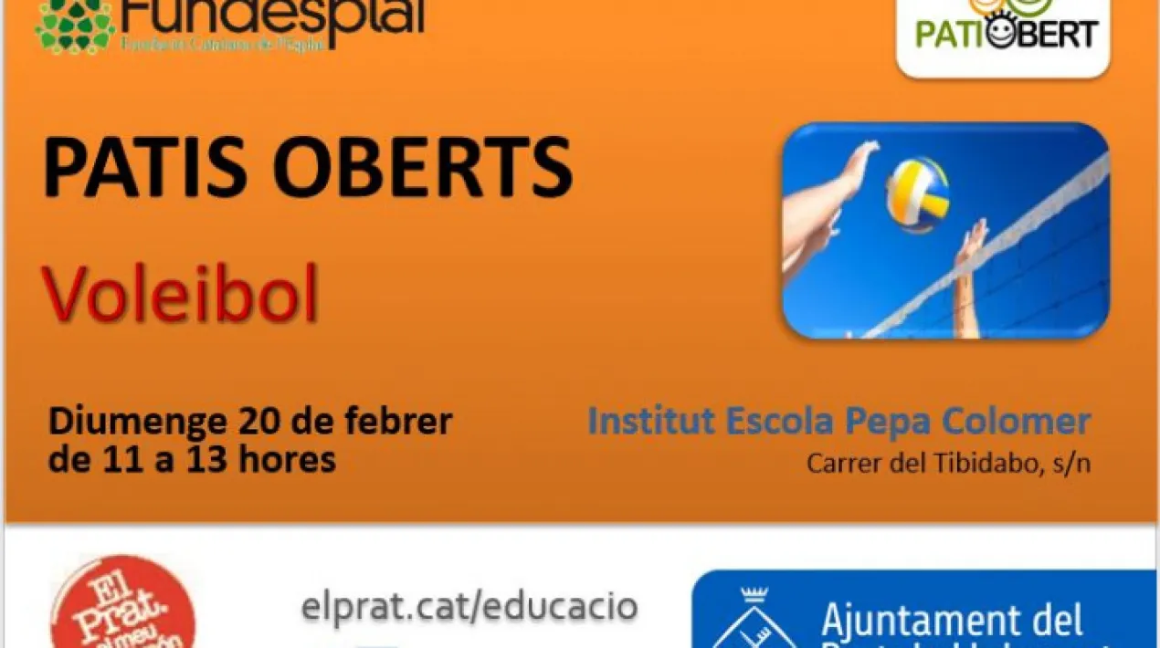 Ens aproparem a diferents jocs esportius, jugarem a Voleibol i gaudirem al m&agrave;xim amb tots aquells infants i fam&iacute;lies que vulguin passar un diumenge ben divertit.&nbsp;Veure m&eacute;s