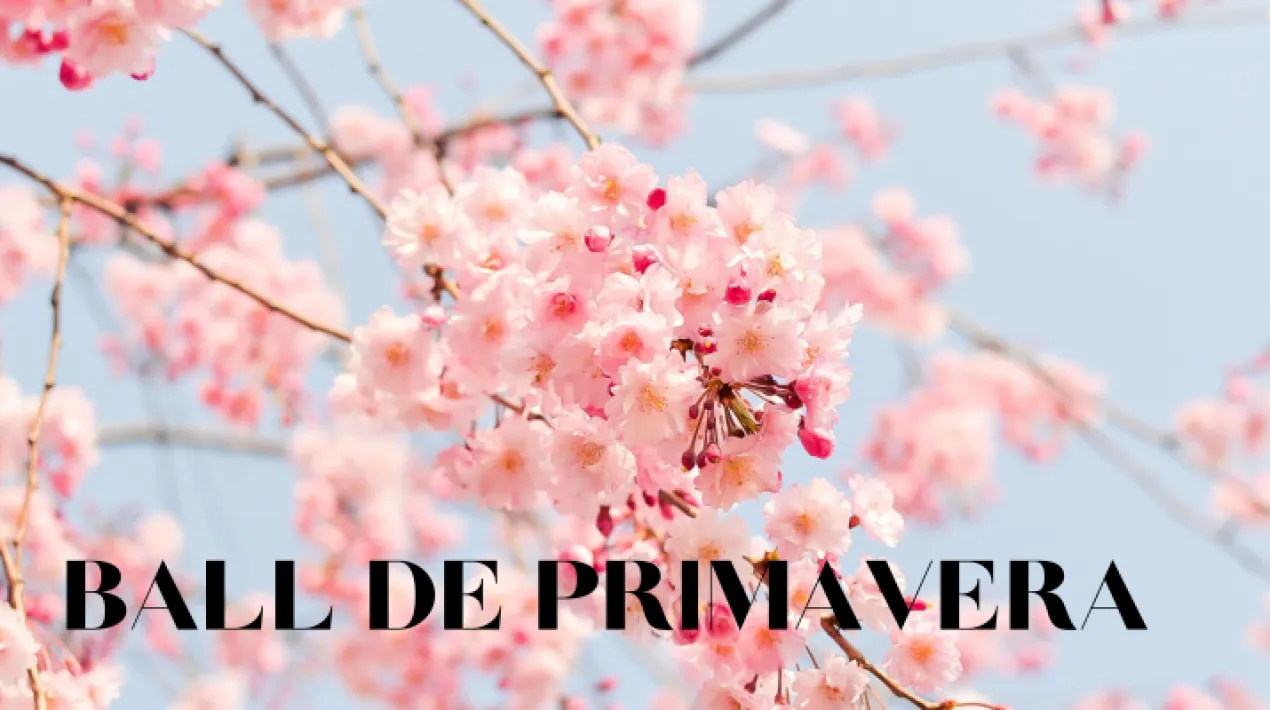 En aquest mes de març, ballem per donar la benvinguda a la primavera a ritme dels clàssics que tant ens agraden.   Veure més