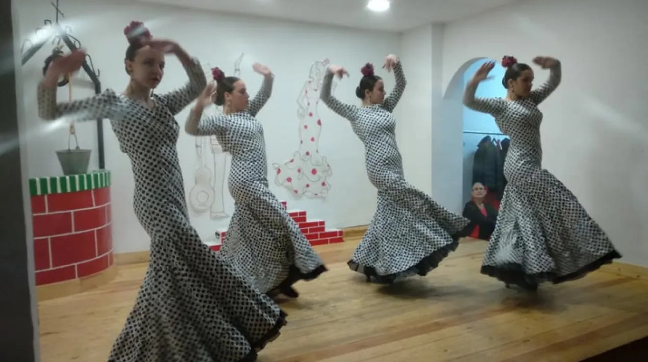 &nbsp;A la sala d'actes. Exhibici&oacute; de balls a c&agrave;rrec del Centro Cultural Andaluz Casa de C&agrave;diz del Prat.Veure m&eacute;s