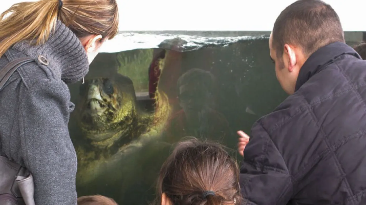 Coneixereu com treballem al CRAM a través d'una visita plena de sorpreses! Descobrireu quins problemes té el mar, investigareu què passa amb els taurons, escoltareu les històries dels animals que s’estan recuperant, coneixereu molts dels racons del CRAM i entre tots decidirem què podem fer per conservar el nostre entorn. Us hi atreviu?  Recomanada per famílies amb nens d’entre 6 i 12 anys. Veure més