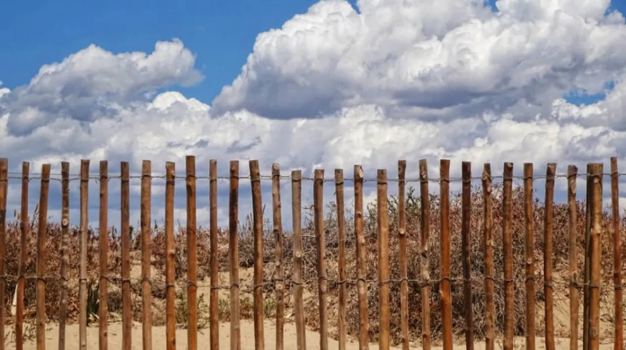 Enguany el clàssic concurs de fotografia a instagram #viulestiualprat ha ampliat fronteres i ha passat a anomenar-se #elpratpelmon! Pratencs i pratenques han fet i etiquetat fotografies divertides, boniques o insòlites, que mostren com gaudeixen de l’estiu, ja sigui al Prat o arreu del món. En aquesta inauguració de l'exposició podrem veure les imatges seleccionades del concurs fotogràfic i es realitzarà l'entrega de premis a les fotografies guanyadores.Veure més