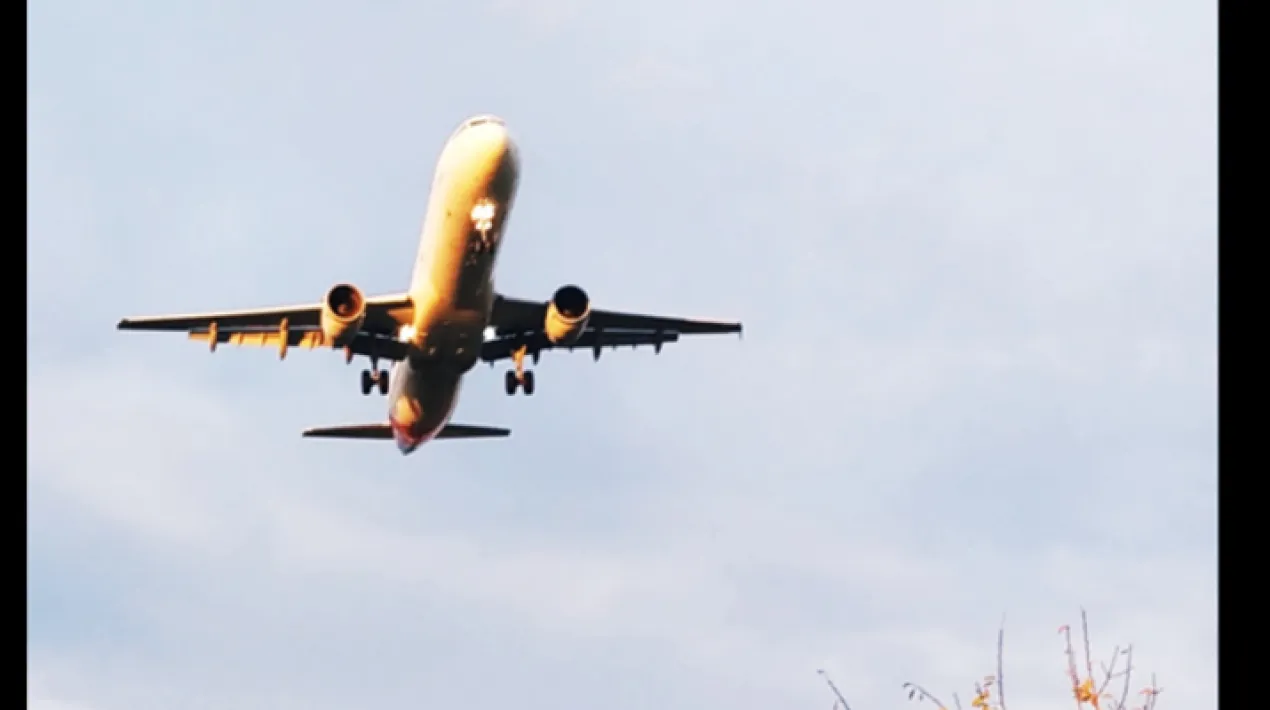 Caminades fotogr&agrave;fiques per a la gent gran arreu del territori del Prat de Llobregat. Recomanacions: Porta c&agrave;mera de fotografies o m&ograve;bil. Cal&ccedil;at adequat per a caminar. Gorra per protegir-nos del sol. Imprescindible portar aigua. Un bast&oacute; d&rsquo;excursionista us ajudar&agrave; a impulsar-vos i a mantenir l&rsquo;equilibri. Activitat adre&ccedil;ada a persones majors de 60 anys.&nbsp; Activitat a l'aire lliure&nbsp;dissenyada seguint tots els protocols d'higiene i&nbsp;seguretat vigents.&nbsp; Cal inscripci&oacute; pr&egrave;via contactant amb el&nbsp;Centre C&iacute;vic Jardins de la Pau. *&nbsp;Fotografia realitzada per Ana Rino&nbsp;Veure m&eacute;s