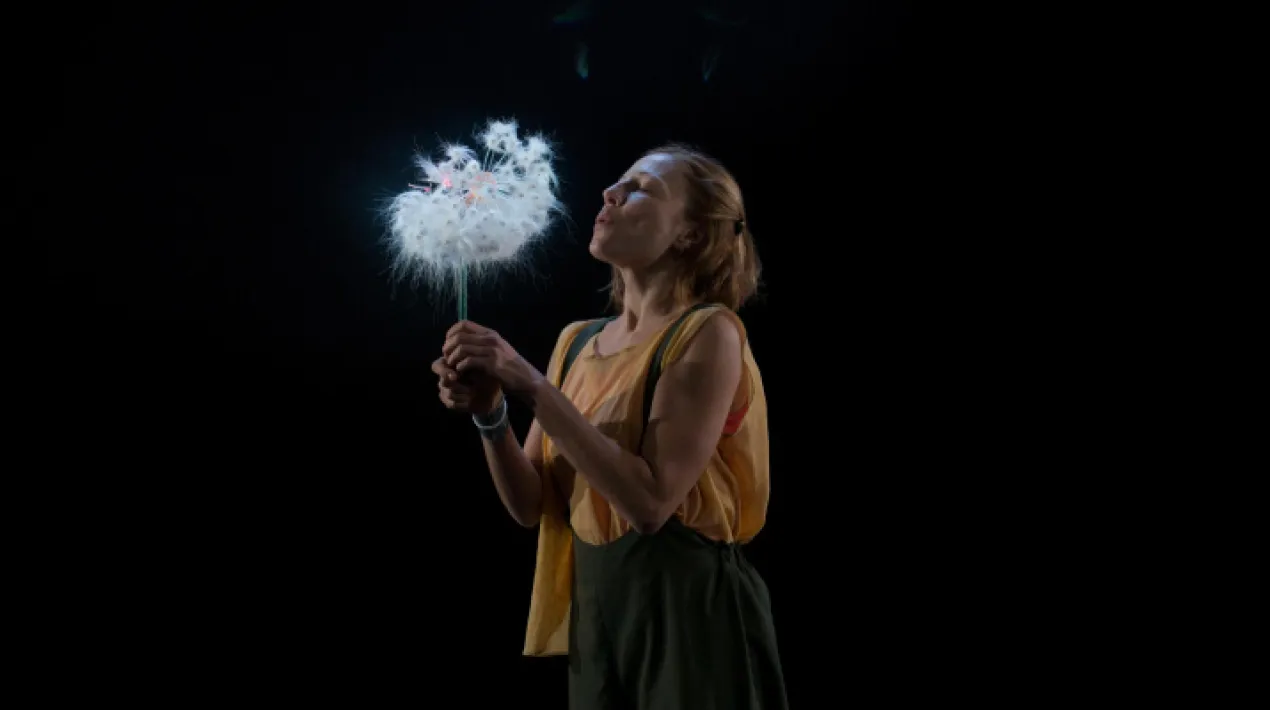 En aquest moment, milions desitjos volen fer-se realitat. Demanem desitjos de moltes maneres: bufant espelmes pel nostre aniversari, veient passar un estel fuga&ccedil;, bufant una pestanya, tirant una moneda al pou o bufant una flor de dent de lle&oacute;. En molts moments de la nostra vida demanem un desig, per&ograve;... On van aquests desitjos? Es compleixen? A&nbsp;Blowing&nbsp;viurem el viatge d'una petita espora que vol complir el desig de la Yuri. Un viatge a trav&eacute;s del vent, ple d'aventures en qu&egrave; trobarem les respostes a totes aquestes preguntes. Un espectacle visual, po&egrave;tic i innovador, on la dansa, la m&uacute;sica en directe i la tecnologia ens faran emprendre el vol cap a un m&oacute;n fant&agrave;stic, m&agrave;gic i absurd. M&uacute;cab Dans&nbsp;&eacute;s una companyia que crea espectacles pluridisciplinaris per trobar un llenguatge propi amb l'objectiu de fer arribar al p&uacute;blic les arts del moviment. Treballen amb tecnologies interactives per donar una nova dimensi&oacute; esc&egrave;nica tot recercant una nova visi&oacute; de la dansa i de la manera d'explicar coses.Veure m&eacute;s