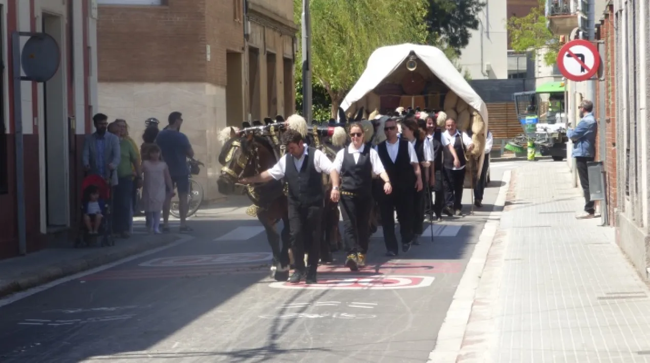 Tradicional Cavalcada de Sant Isidre pels carrers del Prat amb genets, amazones, carros i carruatges tirats per cavalls, eugues, ponis, mules i rucs. Sortida a les 11,30h del C/ de les Moreres i es farà un recorregut per diferents carrers de la ciutat (avinguda Josep Anselm Clavé, Doctor Soler i Torrents, Ferran Puig i Frederic Soler, avinguda Verge de Montserrat, Coronel Sanfeiu, Lleida, carretera de la marina, avinguda Verge de Montserrat fins les Moreres). Entre les 7 h i les 11 h es durà a terme una rebuda i preparació de carros i cavalls així com un esmorzar de germanor dels participants al carrer de les Moreres.   Veure més