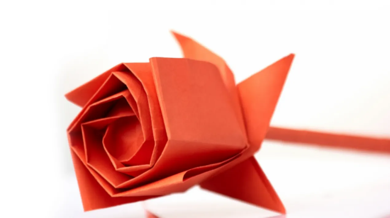 Vine el diumenge 24 d'abril a les 17 h a la Palmira a fer la teva rosa de Sant Jordi i gaudir d'una tarda amb els veïns del territori. Veure més