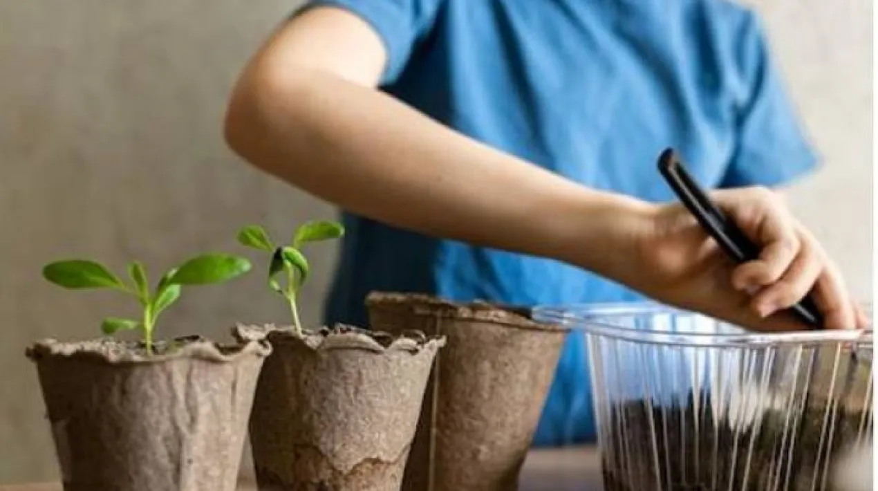La jardineria és una activitat molt beneficiosa per a la salut en molts aspectes. Amb qualsevol edat i condició física, tothom pot gaudir del cultiu de plantes. A la carpa Millores Personals els infants poden practicar aquesta activitat en què emulem els Horts grupals, que tenen la finalitat de ser espais de relació i aprenentatge personal.Veure més