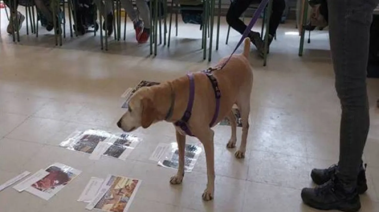 Curecan farà una sessió pràctica el 30 de maig de 15:30 a 17 hores, a l’edifici de Salut Pública i Consum (Carrer Major 23) sobre el beneficis de les intervencions assistides amb animals. És necessària inscripció prèvia a armada@elprat.catVeure més