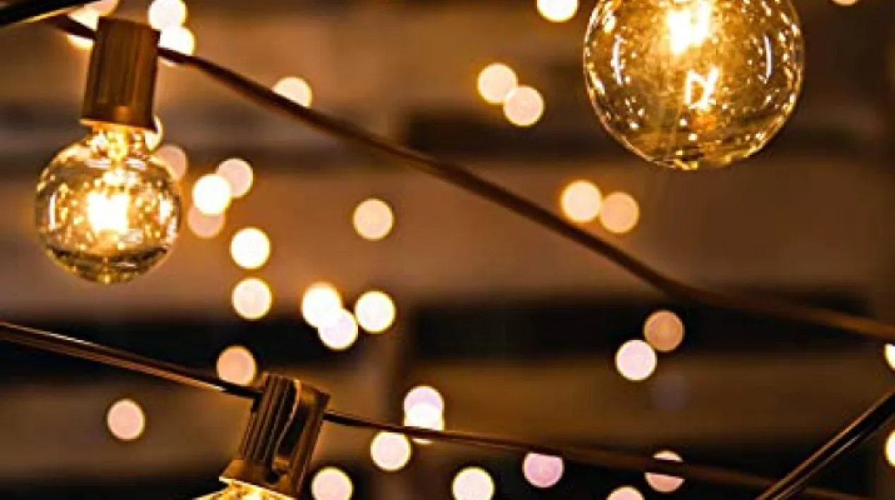 Cicle de lectures radiKals, a c&agrave;rrec de Lolo Herrero A&nbsp;trav&eacute;s d&rsquo;una selecci&oacute; minuciosade textos rebut i llegits a les &ldquo;Lectures pel Confinament&rdquo; i textos propis de l&rsquo;autor que serveixen d&rsquo;uni&oacute; entre ells, &ldquo;El Plaer de la Paraula&rdquo; parla d&rsquo;amor, de sexe, d&rsquo;optimisme, de iambes, de paraules. En vers, en prosa, en catal&agrave;, angl&egrave;s i castell&agrave;. I tot aix&ograve; vist a trav&eacute;s del vel, de vegades m&eacute;s opac i de vegades m&eacute;s transl&uacute;cid, teixit pel confinament i la pand&egrave;mia. &nbsp; &nbsp;Veure m&eacute;s