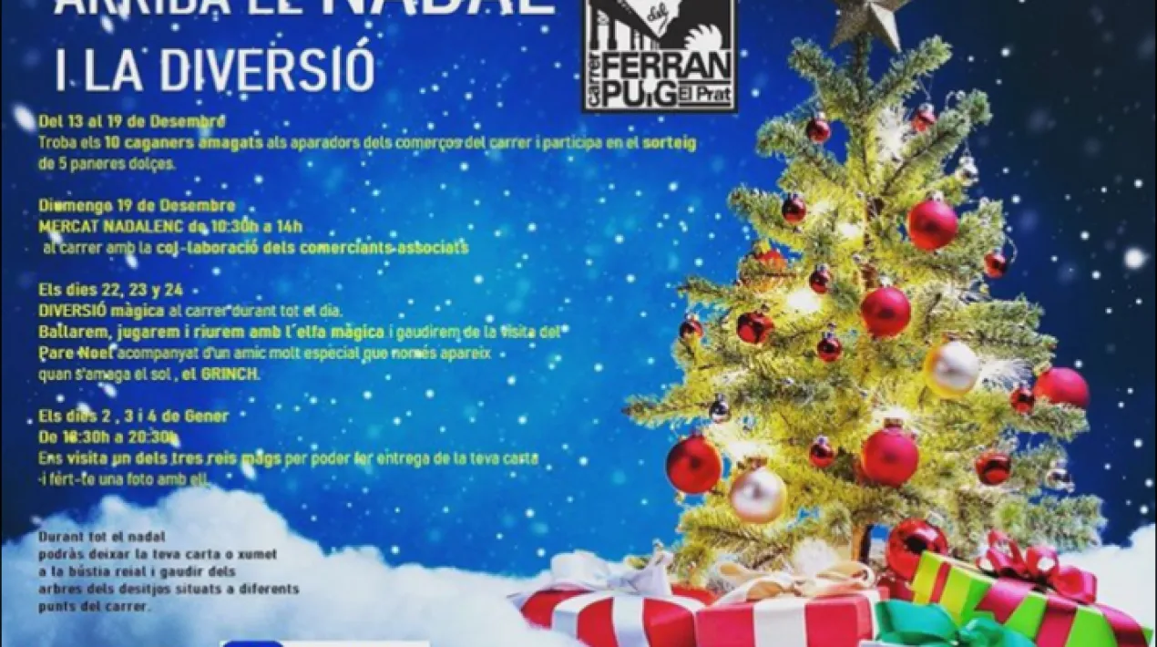 Diversi&oacute; m&agrave;gica al carrer durant tot el dia. Ballarem, jugarem i riurem amb l'elfa m&agrave;gica i gaudirem de la visita del&nbsp;Pare Noel acompanyat d'un amic molt especial que nom&eacute;s apareix quan s'amaga el sol, el GRINCH!Veure m&eacute;s