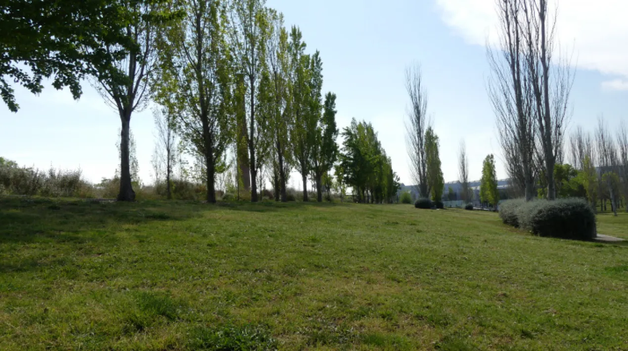 Plantació forestal dins les zones forestals del parc. Es contemplaran totes les mesures preventives necessàries per al desenvolupament d'aquesta activitat donada la situació de pandèmia sanitària de la COVID19. La capacitat de l'aforament de l'activitat s'establirà segons les restriccions vigents en el moment de fer l'activitat.  La Jugatecambiental ofereix un munt de propostes per gaudir en família per aprendre moltes coses sobre els parcs metropolitans, la natura i el medi ambient, mentre juguem i fem activitats. Hi trobarem un punt d'informació del parc i el seu entorn i un espai de joc lliure. Activitats tots els  diumenges del 19 de setembre al 28 de novembre de 2021 al parc Nou i al parc del Riu. ACTIVITAT GRATUÏTAVeure més