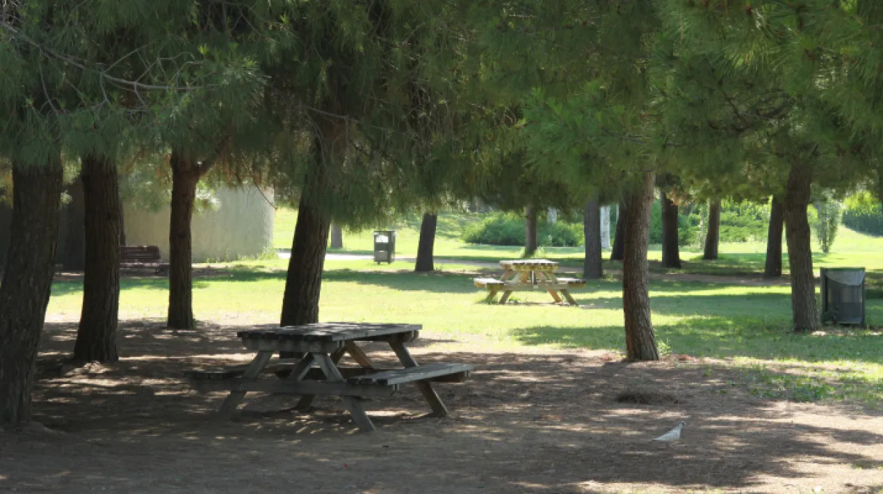  L’Ajuntament ha decidit que habilitarà fins a 14 equipaments municipals i espais públics com refugis climàtics després de la pujada de les temperatures de les darreres setmanes i davant de la previsió que es puguin repetir els episodis d’onada de calor durant l’estiu. L’habilitació d’aquests refugis climàtics ja estava contemplada per la Declaració d’Emergència Climàtica, que el ple municipal va aprovar el setembre de 2020.    Els refugis climàtics són espais amb una temperatura ambient adequada i un entorn confortable, on s’hi podran adreçar totes les persones que ho necessitin per protegir-se de la calor. Si bé se’n podrà beneficiar la ciutadania en general, estan especialment adreçats als col·lectius més vulnerables a l’impacte de les elevades temperatures sobre la salut, entre ells la infància, la gent gran, les persones amb malalties cardiovasculars o les dones embarassades, entre d’altres. Concretament, l’Ajuntament ha identificat 9 equipaments municipals com refugis climàtics, amb llocs per seure i espais climatitzats. En general, l’horari d’aquests equipaments serà l’habitual, tret que, davant d’episodis d’onada de calor, fos necessari ampliar-lo. En aquest cas, l’Ajuntament informaria oportunament a la població.   Els equipaments identificats com refugi climàtic són: Els Centres Esportius Municipals (Estruch, Fondo d’en Peixo Sagnier i Julio Méndez): els CEM Estruch, Fondo d’en Peixo i Sagnier estaran oberts en el seu horari habitual els mesos de juny i juliol (de dilluns a divendres, de 7.15 a 22.30 h; dissabtes, de 8 a 20 h, i diumenge, de 8 a 14 h). A l’agost, seguiran tenint aquest horari els CEM Estruch i Sagnier, però el del Fondo d’en Peixo estarà tancat. El Julio Méndez obrirà el juliol de dilluns a divendres de 8 14 h; la primera quinzena d’agost romandrà tancat i, a partir del dia 16, estarà obert a la tardes, de 17 a 23.30 hores de dilluns a divendres. Els centres culturals (Cèntric, Palmira Domènech, Jardins de la Pau i Sant Jordi-Ribera Baixa): La Palmira, Jardins de la Pau i Sant Jordi-Ribera Baixa obriran en el seu horari habitual, de dilluns a divendres de 9 a 14 h i de 15 a 21 h (a La Palmira, de forma ininterrompuda); i dissabtes i diumenges, de 10 a 14 h i de 16 a 20 h (en el cas del Palmira, el diumenge només a la tarda). Estaran tancats de l’1 al 21 d’agost (ambdós inclosos). El Cèntric Espai Cultural i la Biblioteca Antonio Martín estaran oberts els dilluns de 15.30 a 21 h; de dimarts a divendres, de 9 a 21 h i dissabtes, de 10 a 14 h. Del 25 de juliol al 27 d’agost, obrirà de dilluns a divendres, de 15.30 a 21 h i dissabtes, de 10 a 14 h. El Casal de Gent Gran del Remolar: de dilluns a divendres, de 10 a 13 h i de 16 a 20 h; i dissabtes i diumenges de 16 a 20 h. A l’agost, el casal estarà tancat.   Als equipaments anteriors, s’hi ha d’afegir 5 punts més de la ciutat, situats en parcs i places, que es consideraran refugis climàtics ja que compten amb ombres, bancs o fonts. Es tracta dels llocs següents: Pineda del Parc Nou Parc de la Solidaritat Jardins de la Pau Fondo d’en Peixo Plaça de Louis Braille   Consells per prevenir els efectes de la calor Més enllà de posar a disposició de la ciutadania els refugis climàtics, l’Ajuntament també recorda algunes recomanacions a tenir en compte per prevenir els efectes de la calor sobre la salut.  Es recomana hidratar-se adequadament, evitar fer esforços intensos durant les hores de més calor i tenir especial atenció amb els col·lectius de risc (gent gran, infància, persones amb malalties cròniques...),entre d’altres recomanacions, que podreu trobar aquí. Amb la pujada de les temperatures, també s’està incrementant el risc d’incendi, per la qual cosa també és important prendre mesures preventives per evitar el foc, que trobareu a l’apartat d’aquest tema del web de Protecció Civil.Veure més