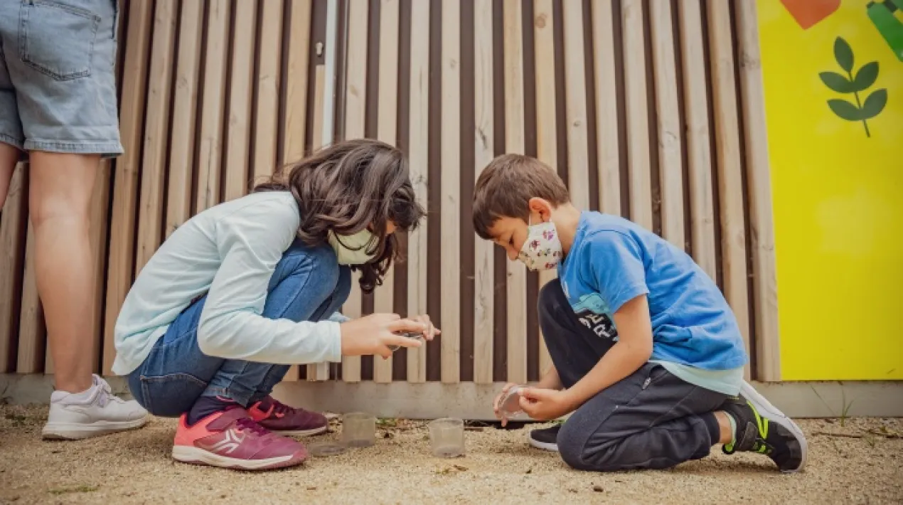 Els invertebrats són el grup d'organismes més abundants en el món. Viuen en tots els ecosistemes i constitueixen la part majoritària de la nostra biodiversitat. La riquesa d'espècies i l'abundància d'individus són símptomes del bon estat de conservació del parc.En aquesta activitat  elaborararem de manera participativa un inventari de les espècies d’insectes que es troben al parc. Es contemplaran totes les mesures preventives necessàries per al desenvolupament d'aquesta activitat donada la situació de pandèmia sanitària de la COVID19. La capacitat de l'aforament de l'activitat s'establirà segons les restriccions vigents en el moment de fer l'activitat.  La Jugatecambiental ofereix un munt de propostes per gaudir en família per aprendre moltes coses sobre els parcs metropolitans, la natura i el medi ambient, mentre juguem i fem activitats. Hi trobarem un punt d'informació del parc i el seu entorn i un espai de joc lliure.  ACTIVITAT GRATUÏTA.Veure més