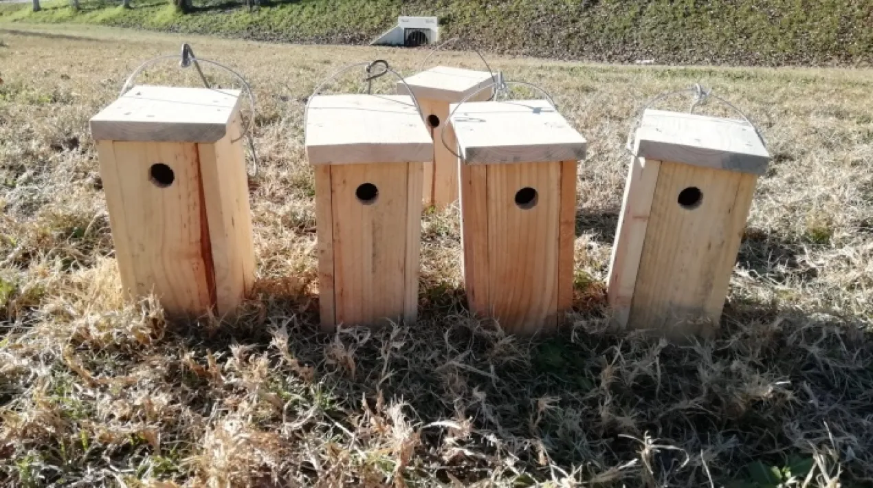 Es tracta d’una activitat on s’explica un conte on es parla dels ocells del bosc i de les seves característiques. Seguidament es fa una descoberta pel parc per tal de poder identificar els ocells que hi ha. Per últim es construeixen caixes niu per anar-les a penjar als arbres pel parc o per a que se les puguin dur els participants a casa seva. Està pensada per infants de 3 a 9 anys. Es contemplaran totes les mesures preventives necessàries per al desenvolupament d'aquesta activitat donada la situació de pandèmia sanitària de la COVID19. La capacitat de l'aforament de l'activitat s'establirà segons les restriccions vigents en el moment de fer l'activitat.  La Jugatecambiental ofereix un munt de propostes per gaudir en família per aprendre moltes coses sobre els parcs metropolitans, la natura i el medi ambient, mentre juguem i fem activitats. Hi trobarem un punt d'informació del parc i el seu entorn i un espai de joc lliure.  ACTIVITAT GRATUÏTA.Veure més
