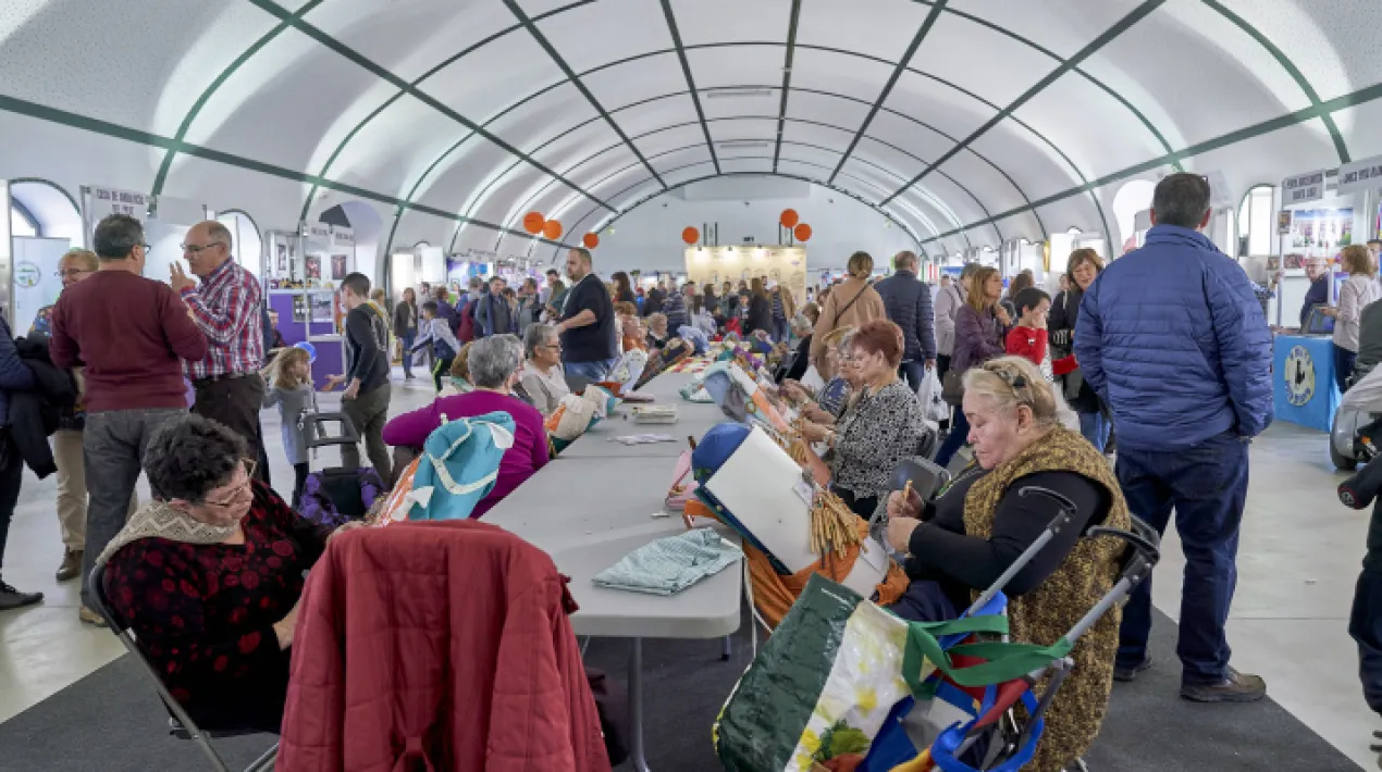 Al pati d'acc&eacute;s a la Mostra d'Entitats Exhibici&oacute; de puntes de coix&iacute;&nbsp;al pati d'acc&eacute;s a la Mostra d'entitats.Veure m&eacute;s