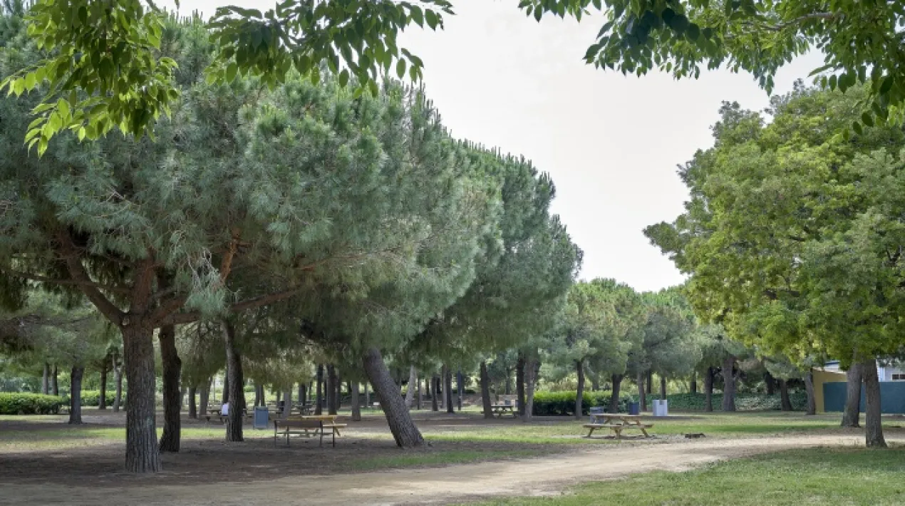  La Policia local ha identificat dos joves com a presumptes autors de l’incendi que es va produir al Parc Nou el passat 28 de maig. També ha obert diligències informatives  al respecte, que s’han traslladat al jutjat, per tal que inici les accions pertinents. La identificació d’aquestes dos joves ha estat possible gràcies al reforç de l’operatiu de la policia local al Parc Nou, davant dels avisos per diversos incendis a la zona durant la darrera setmana de maig, amb la corresponent activació de les dotacions de Bombers per sufocar el foc. Després de la intensificació de la vigilància i d’aquesta identificació, des del passat 28 de maig, no s’ha tornat a produir cap incendi més al Parc Nou.   Veure més