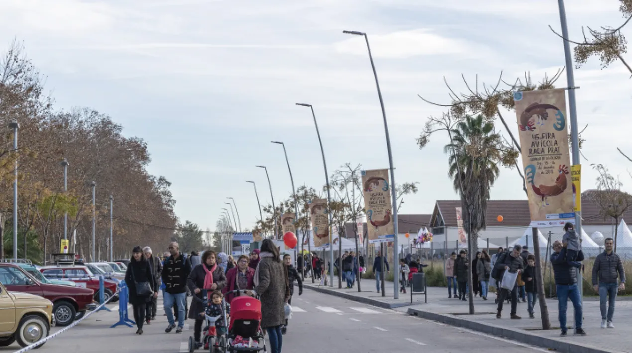 Exposici&oacute; de vehicles antics i cl&agrave;ssics, al Carrer de la Carretera de la Platja.&nbsp; Organitza l'Associaci&oacute; Amics dels Vehicles Antics i cl&agrave;ssics del PratVeure m&eacute;s