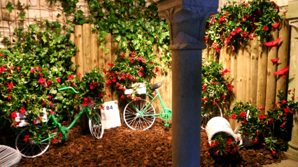 Gaudirem de la 67a edició de 