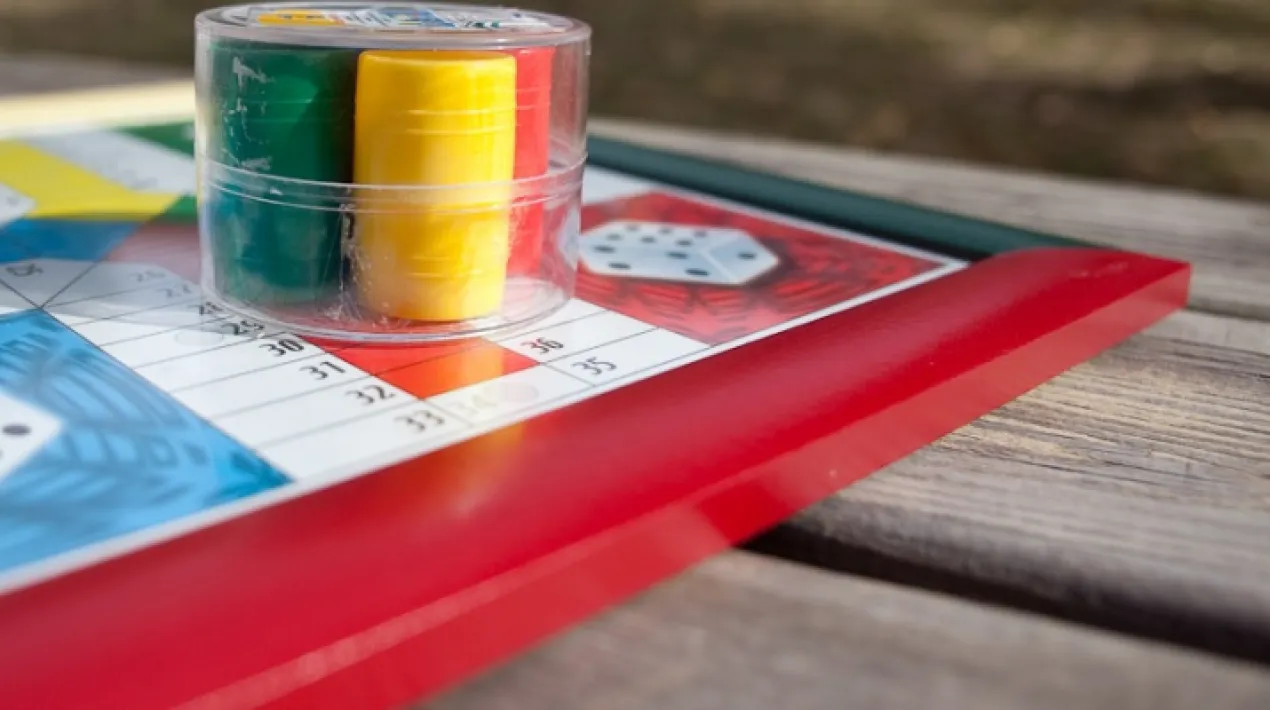 Amb motiu dels actes de la Setmana de la Dona, les dones de l'AVV de Jardins de la Pau organitzen&nbsp;un concurs de parx&iacute;s.Veure m&eacute;s