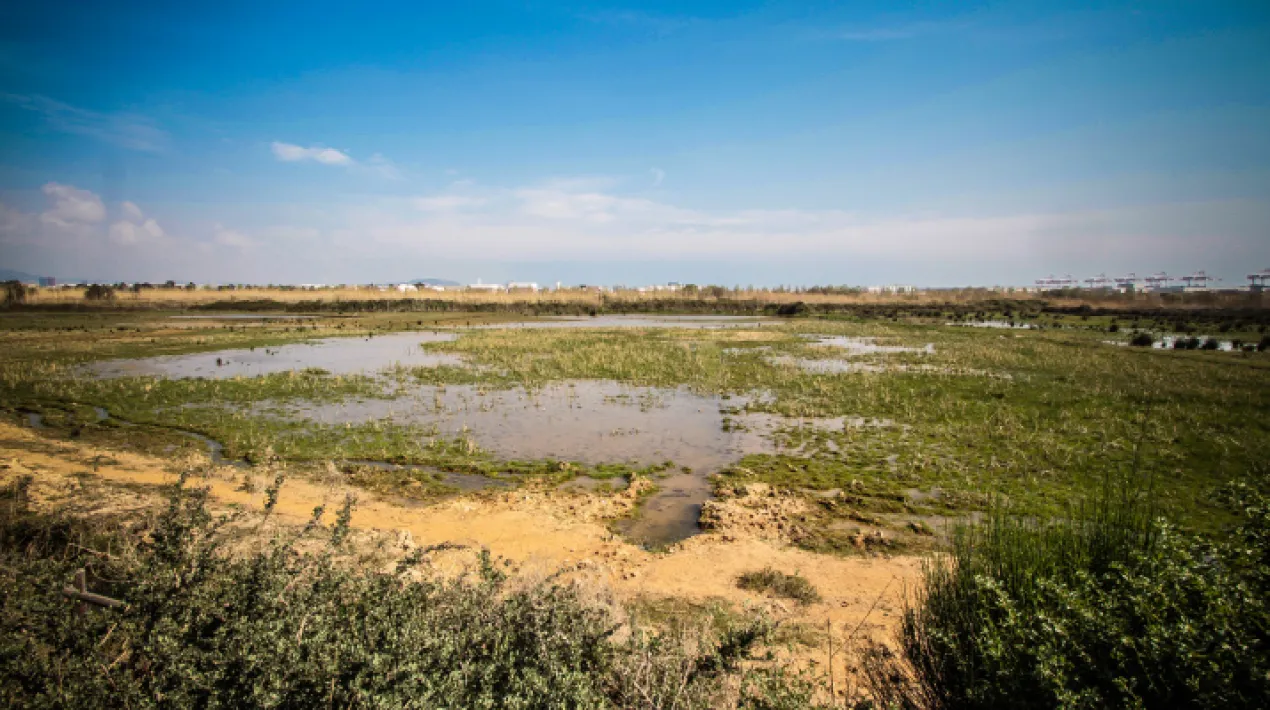 Aprofitant les&nbsp;obres dels aparcaments de l&rsquo;avinguda Verge de Montserrat&nbsp;es va dur a terme un estudi que ha perm&egrave;s obtenir dades sobre la formaci&oacute; del delta i el paisatge en &egrave;poca medieval. Ens ho presenten l'arque&ograve;leg Santi Riera (Universitat de Barcelona) i el ge&ograve;leg Ramon Juli&agrave; (CSIC). &nbsp;Activitat complement&agrave;ria a l&rsquo;exposici&oacute; El Prat, una mirada arqueol&ograve;gica. Amb el suport de la Diputaci&oacute; de Barcelona Totes les activitats del cicle aqu&iacute;Veure m&eacute;s