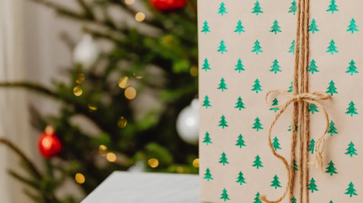 Est&agrave;s fart de regalar sempre perfums o mitjons per Nadal? Creus que ja &eacute;s hora de frenar els residus generats en aquestes dates? A la Palmira, conjuntament amb la Cooperativa Obrera de&nbsp;Vivendes&nbsp;(COV)&nbsp;et donarem&nbsp;d'idees de regals sostenibles per fer un regal a qui m&eacute;s estimes i alhora al planeta generant menys residus. Per&ograve; no tot ser&agrave; teoria, tamb&eacute; aprendrem a fer nosaltres mateixes una proposta de regal pr&agrave;ctic i sostenible de la m&agrave; de&nbsp;Solidan&ccedil;a. Porta'ns una pe&ccedil;a de roba que ja no facis servir i t'ensenyarem a donar-li un nou us en forma de regal nadalenc sostenible.Veure m&eacute;s