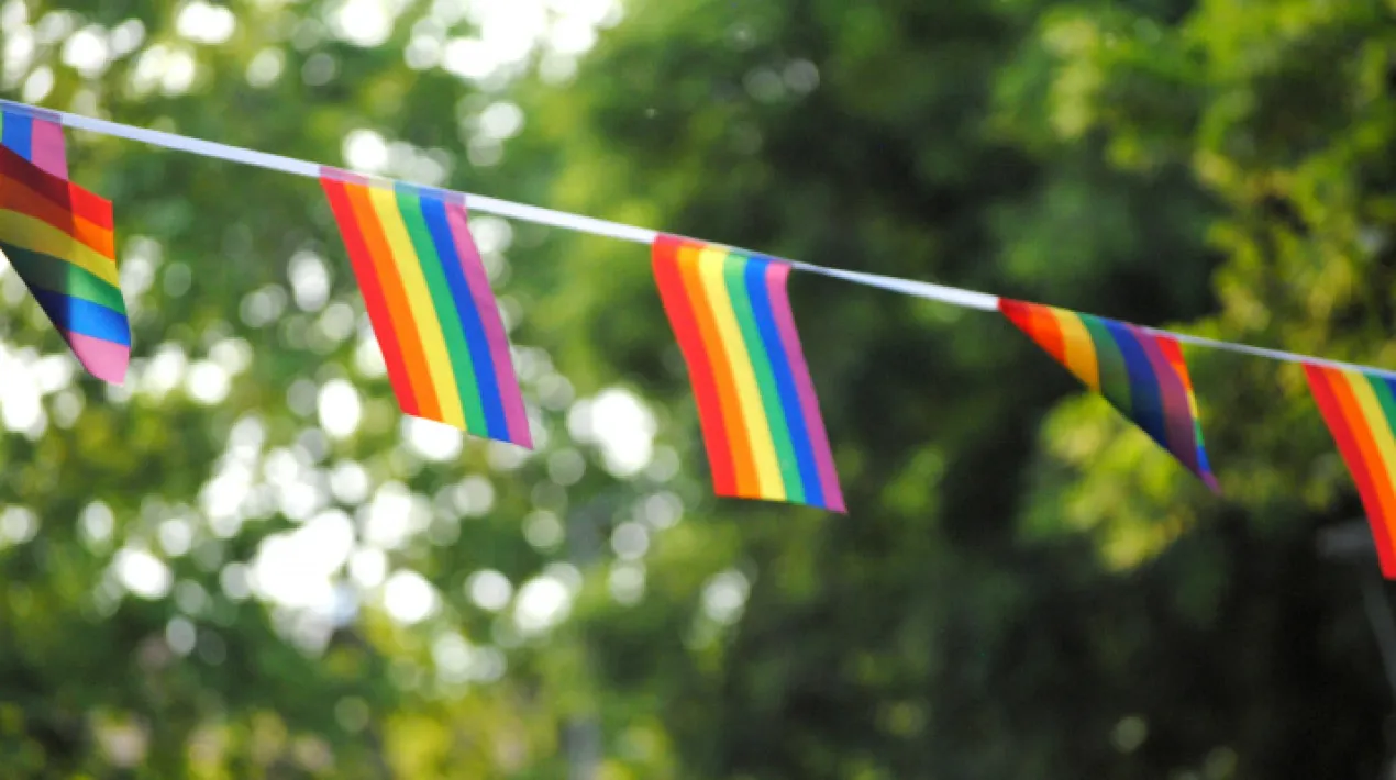 L'Associació Orgull Pota Blava us convida a participar en un pícnic elaborat amb aliments dels colors de la bandera LGTBIQ+. Serà un espai de trobada a la terrassa del Ribera per a totes les edats entre diferents persones i associacions on celebrar la diversitat sexual i de gènere. Gaudirem de la música amb els dj's AstraZeneca & Moderna, tallers i bona companyia!Veure més