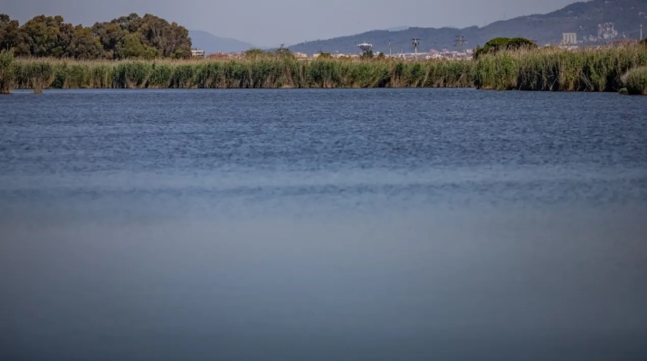  L’alcalde del Prat de Llobregat, Lluís Mijoler, ha fet arribar una carta al president del govern espanyol, Pedro Sánchez, on li exposa el gran valor ambiental de l’espai natural protegit de la Ricarda, la preservació del qual es veu actualment amenaçada pel projecte d’ampliació de l’aeroport. En aquesta mateixa missiva, Mijoler també convida Pedro Sánchez a visitar l’espai de la Ricarda, per conèixer de primera mà la riquesa de la seva biodiversitat. Després que a principis d’agost s’anunciés un acord entre l’Estat i la Generalitat per impulsar l’ampliació de l’aeroport del Prat, Lluís Mijoler també ha fet extensiva la invitació per visitar la Ricarda al president del govern català, Pere Aragonès, i a d’altres autoritats de les institucions espanyoles i catalanes. També s’ha estès la invitació a l’alcaldessa de Barcelona, Ada Colau. En la carta que ha adreçat al president espanyol, l’alcalde Mijoler recorda que el delta del Llobregat, on es troba l’espai natural de la Ricarda, té un “incalculable valor ambiental” i que és la “principal infraestructura verda de la segona àrea metropolitana de l’Estat”. Afegeix que l’eliminació de la Ricada, “no només suposaria un desastre per a tota la ciutat del Prat, sinó també un perjudici per a tota l’àrea metropolitana i un desastre ecològic irreversible”. També recorda que la Ricarda és un espai inclòs a la Xarxa Natura 2000 europea. És una Zona d’Especial Protecció, que conté la principal reserva de biodiversitat de la zona i aiguamolls que Nacions Unides considera fonamental preservar. El batlle pratenc també exposa que el projecte d’ampliació de l’aeroport és contradictori amb l’Agenda 2030 i el seu compromís per lluitar contra el canvi climàtic i promoure l’economia sostenible. De fet, el sector de l’aviació és assenyalat pel darrer informe del Grup Interdepartamental d’Experts contra el Canvi Climàtic com un dels principals emissors de gasos contaminants. Mijoler recorda a Pedro Sánchez, Pere Aragonès i altres autoritats catalanes i espanyoles que arreu d’Europea “es multipliquen les alternatives ferroviàries en detriment de possibles ampliacions aeroportuàries”. La invitació a visitar la Ricarda es fa extensiva a d’altres autoritats L’alcalde del Prat també fa extensiva la invitació a visitar l’espai natural protegit de la Ricarda a d’altres autoritats catalanes i espanyoles. Del govern de l’Estat, també s’emplaça a conèixer aquest espai natural Nadia Calviño, vicepresidenta primera i ministra d’Assumptes Econòmics i Transformació Digital; Yolanda Díaz, vicepresidenta segona i ministra de Treball i Economia Social; Teresa Ribera, vicepresidenta tercera i ministra per a la Transició Ecològica i el Repte Demogràfic; Raquel Sánchez, ministra de Transport, Mobilitat i Agenda Urbana; Ione Belarra, ministra de Drets Socials i Agenda 2030; i Teresa Cunillera, delegada del govern de l’Estat a Catalunya. Del govern català, també s’emplaça a assistir-hi Laura Vilagrà, consellera de la Presidència; Jordi Puigneró, vicepresident i conseller de Polítiques Digitals i Territori; Teresa Jordà, consellera d’Acció Climàtica, Alimentació i Agenda Rural; i Antoni Morral, delegat territorial de la Generalitat a Barcelona. Així mateix, s’estén la invitació a tots els presidents dels grups polítics representats al Parlament de Catalunya i al Congrés dels Diputats i als membres de les meses de les dues cambres.Veure més