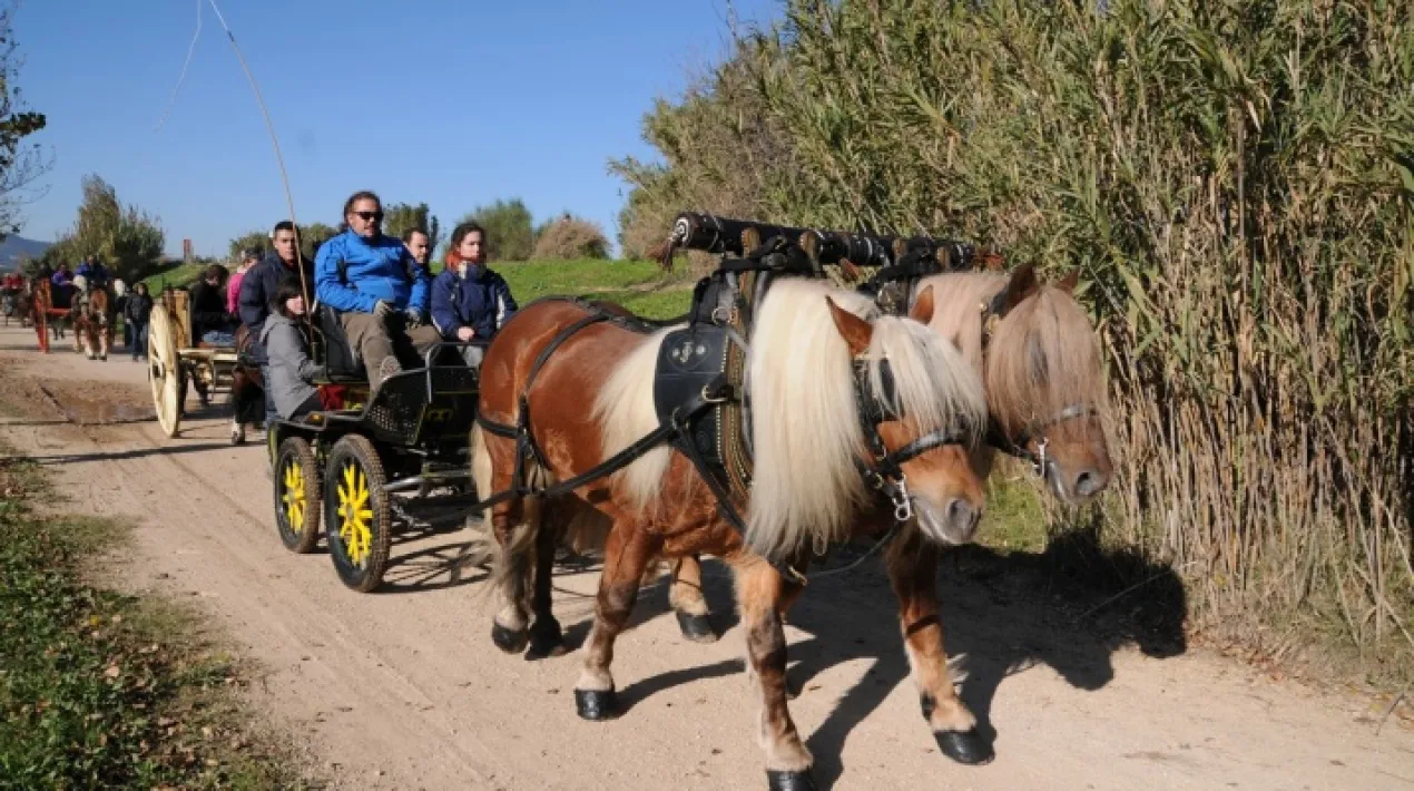 La ruta de la carxofa va comen&ccedil;ar com un homenatge al Josep Oliva, pag&egrave;s del Prat que va lluitar per sensibilitzar i recordar les tradicions agr&iacute;coles a la ciutat. Aquesta ruta es fa pel terreny agr&iacute;cola del Prat i dona inici a la temporada de carxofa.&nbsp; Aquesta ruta consisteix en un passeig d&rsquo;una trentena de carros, tartanes i carruatges diversos per un petit recorregut que s&rsquo;inicia amb un esmorzar de carxofes a la brasa, per a tots els assistents, a l&rsquo;aparcament que hi ha a la platja abans d&rsquo;arribar a la primera parada del bus. El recorregut t&eacute; la sortida des del mateix aparcament&nbsp;i continua per la carretera&nbsp;de la platja fins el cam&iacute; de Val&egrave;ncia, segueix&nbsp;pel cam&iacute; de la Marina fins cam&iacute; del Distribu&iuml;dor&nbsp;i tornarper la mateixa carretera de la platja fins arribar i acabar, de nou, a l&rsquo;aparcament.&nbsp; Organitza: Amics del Cavall del Prat Col&middot;labora: Ajuntament del Prat,&nbsp;Associaci&oacute; Tres Toms.&nbsp; &nbsp; &nbsp; &nbsp;Veure m&eacute;s
