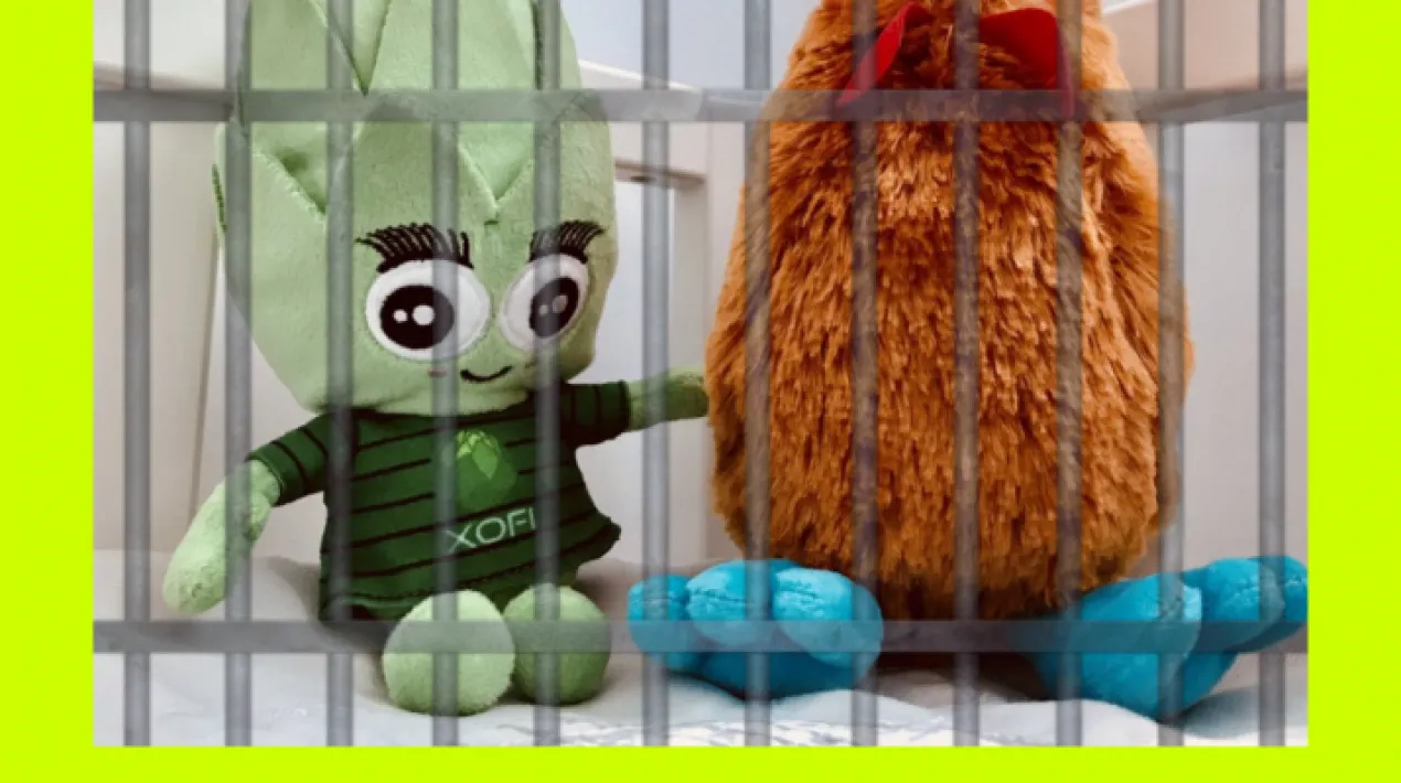 Activitat per a joves de 14 a 23 anys. Amb inscripci&oacute; pr&egrave;via per DM a @patipami.catVeure m&eacute;s