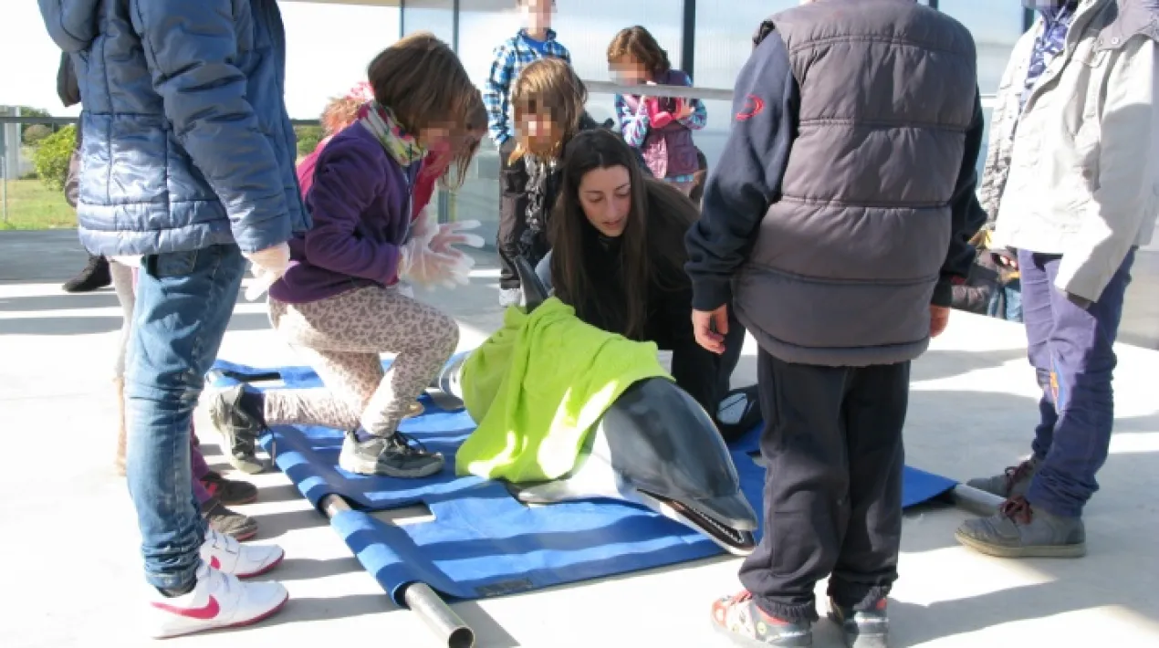 Participareu en el simulacre del rescat d'un dofí de la mà dels nostres especialistes; així podreu conèixer com treballem en aquesta situació. Visitareu l'ambulància que tenim preparada per als rescats, coneixereu tots els elements veterinaris que utilitzem, les lliteres per als trasllats, les persones que hi participen i què hi fa cadascú. A més, fareu una visita guiada per conèixer algunes de les tortugues marines que s'estan recuperant a les nostres instal·lacions i descobrireu què podeu fer cadascú de vosaltres per la conservació del medi marí. Destinataris: públic en general (activitat recomanada a partir de 6 anys)Veure més