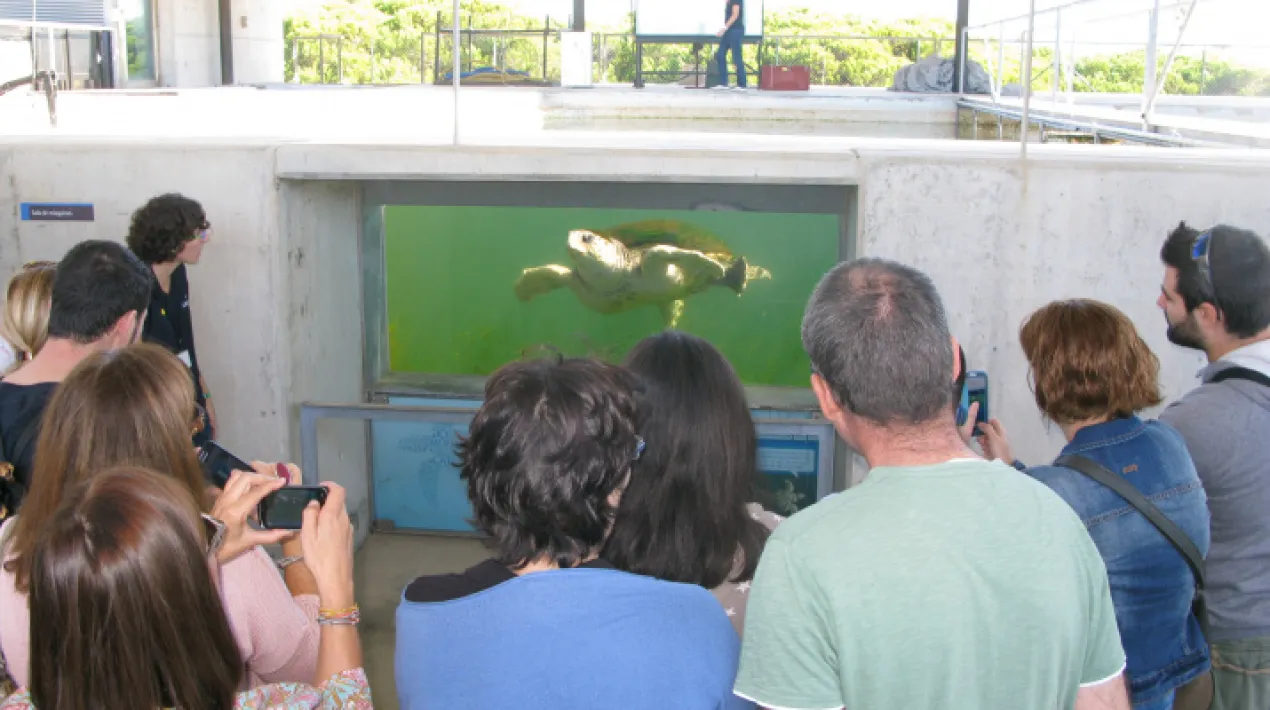 Coneixereu com treballem al CRAM a través d'una visita plena de sorpreses! Descobrireu quins problemes té el mar, investigareu què passa amb els taurons, escoltareu les històries dels animals que s’estan recuperant, coneixereu molts dels racons del CRAM i entre tots decidirem què podem fer per conservar el nostre entorn. Us hi atreviu?  Recomanada per famílies amb nens d’entre 6 i 12 anys. Veure més