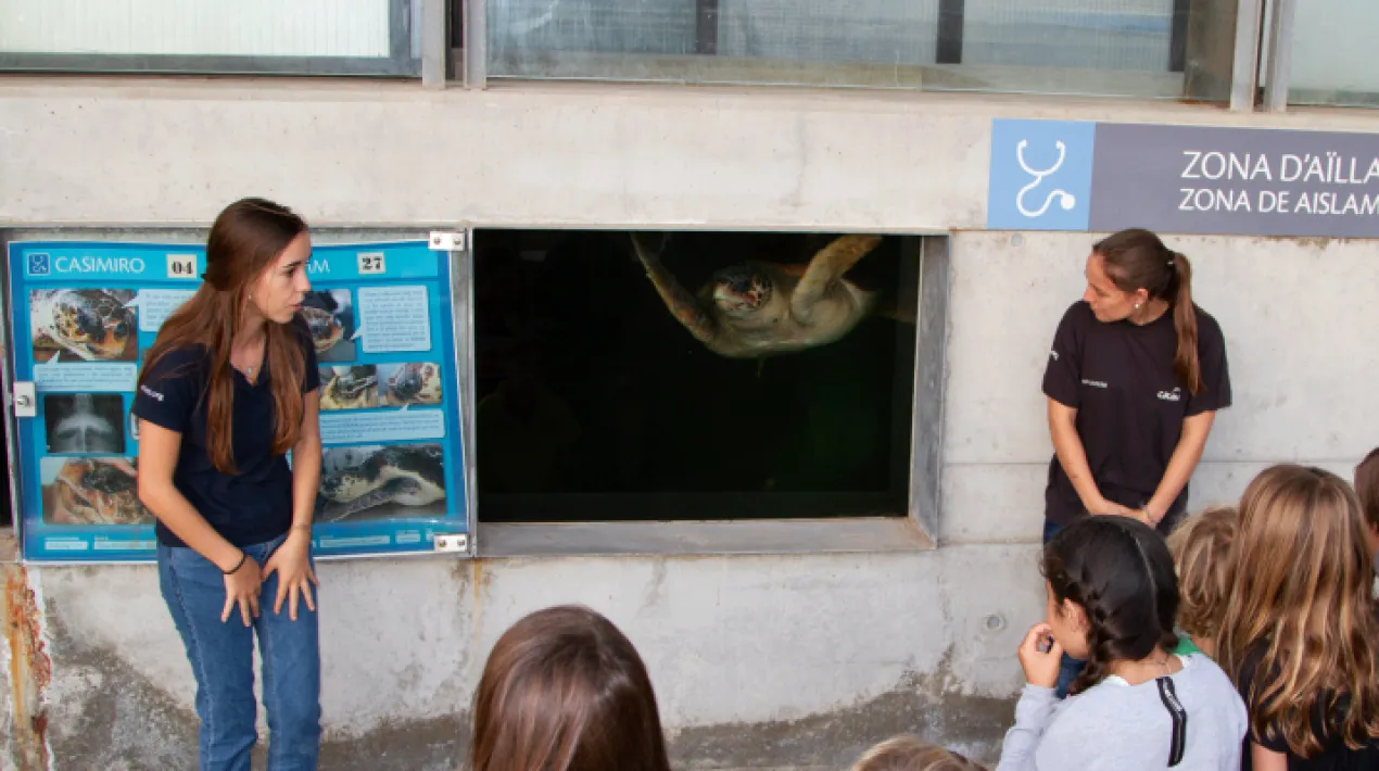 &nbsp; El CRAM (Centre de Recuperaci&oacute; d&rsquo;Animals Marins) apropa la seva tasca de conservaci&oacute; i sensibilitzaci&oacute; del medi mar&iacute;, a trav&eacute;s de les visites guiades que organitza els caps de setmana. L&rsquo;activitat principal de la Fundaci&oacute; CRAM &eacute;s el rescat d&rsquo;esp&egrave;cies marines en perill d&rsquo;extinci&oacute;, la seva recuperaci&oacute; i la seva reintroducci&oacute; al seu h&agrave;bitat. Acompanyats d&rsquo;un/a&nbsp;educador/a, els participants podran visitar les instal&middot;lacions, les exposicions que hi ha al centre i con&egrave;ixer els pacients que hi reben tractament.&nbsp; Es contemplaran totes les mesures preventives necess&agrave;ries per al desenvolupament d'aquesta activitat donada la situaci&oacute; de pand&egrave;mia sanit&agrave;ria de la COVID-19.&nbsp;Veure m&eacute;s